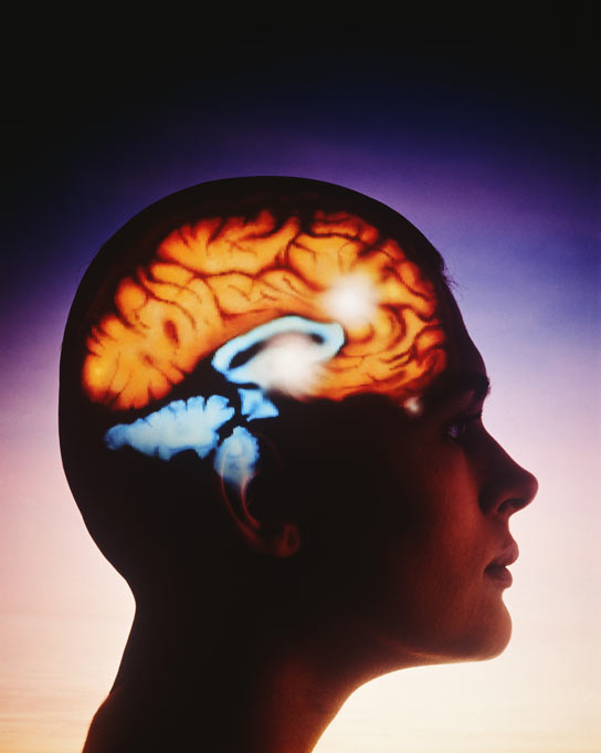 Мозг и память человека: молекулярный аспект