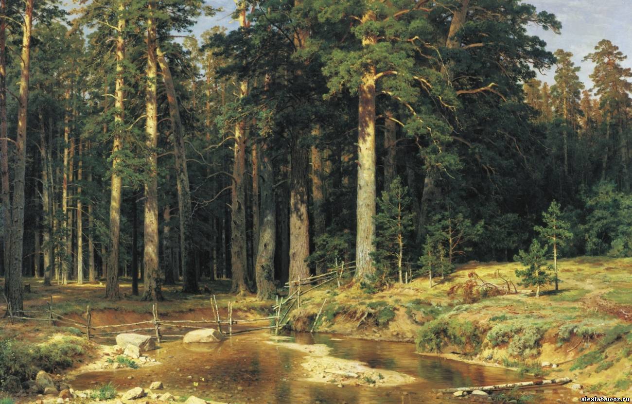 Золотое сечение в картине И. И. Шишкина "Сосновая роща"